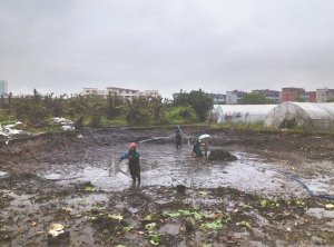 阳泉河道鱼塘清淤